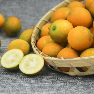 ʻƤ